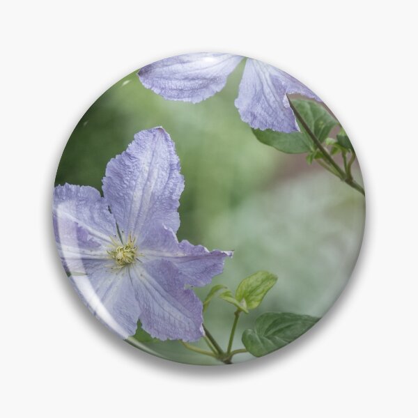 Artikelvorschau, Zarte lila Clematis entworfen und verkauft von Judi Lion.