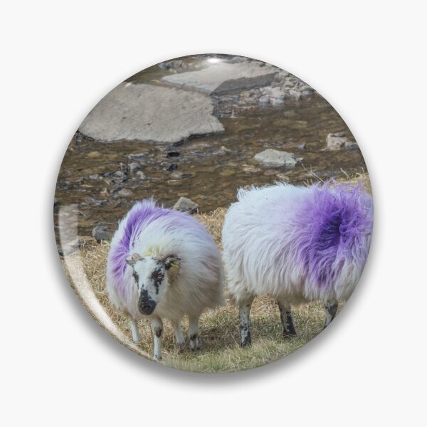 Item preview, Two purple sheep designed and sold by Judi Lion.