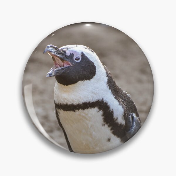 Item preview, Cute squawking African penguin designed and sold by cdkphotos.
