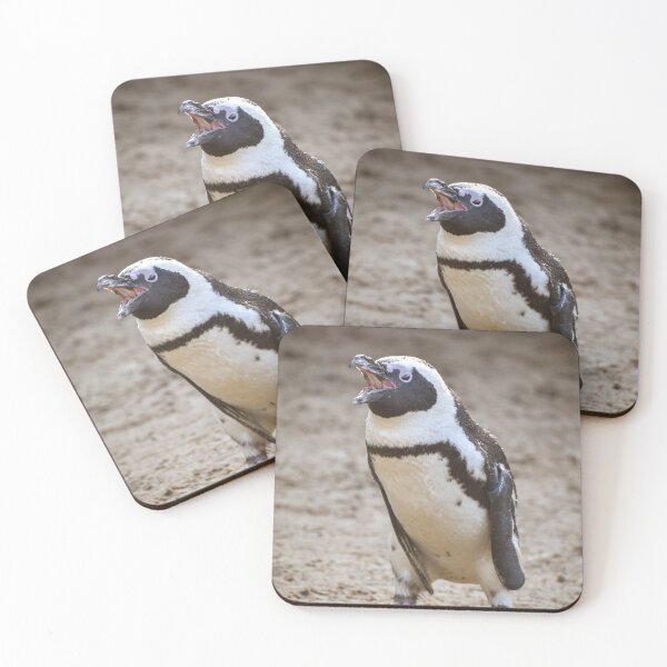 Item preview, Cute squawking African penguin designed and sold by cdkphotos.