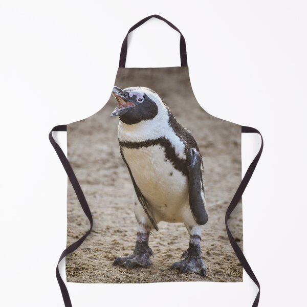 Item preview, Cute squawking African penguin designed and sold by cdkphotos.