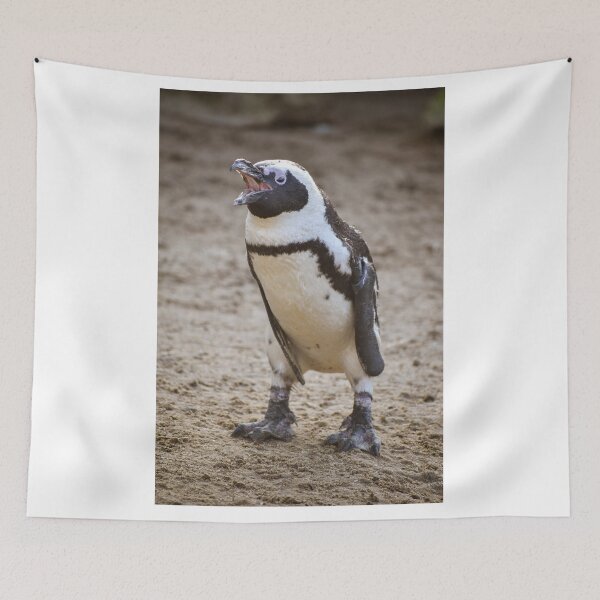 Item preview, Cute squawking African penguin designed and sold by cdkphotos.