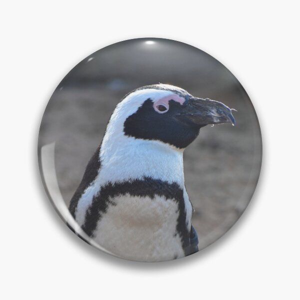 Item preview, Standing African penguin designed and sold by cdkphotos.