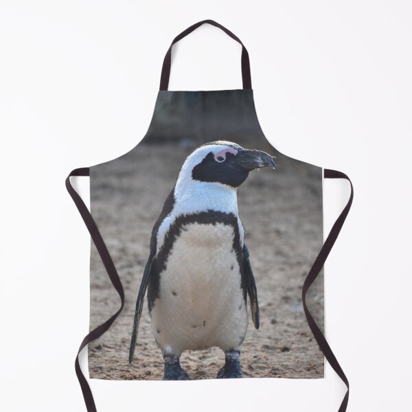 Item preview, Standing African penguin designed and sold by cdkphotos.
