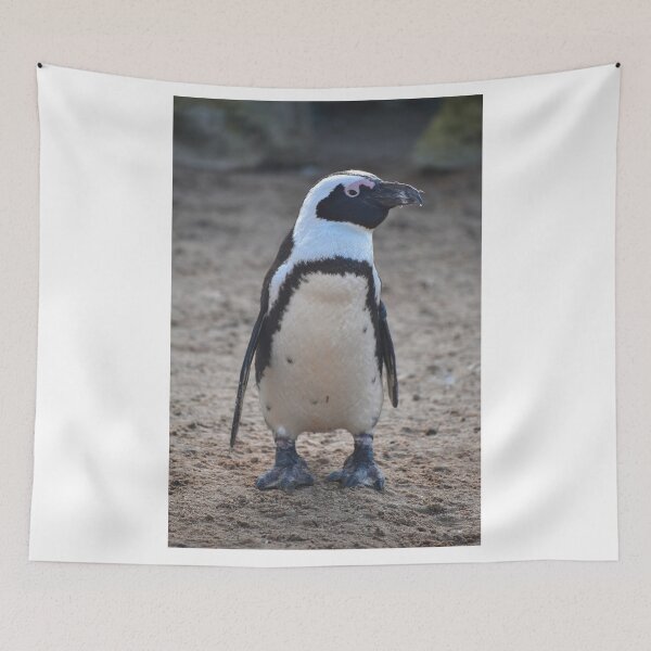 Item preview, Standing African penguin designed and sold by cdkphotos.