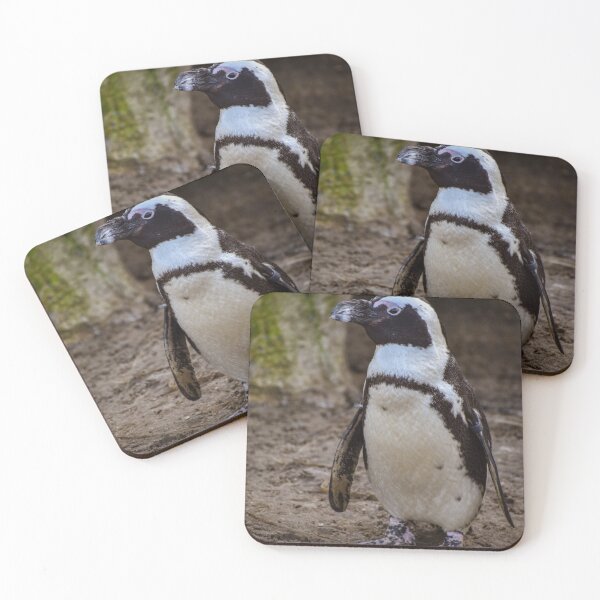 Item preview, Cute standing African penguin designed and sold by cdkphotos.