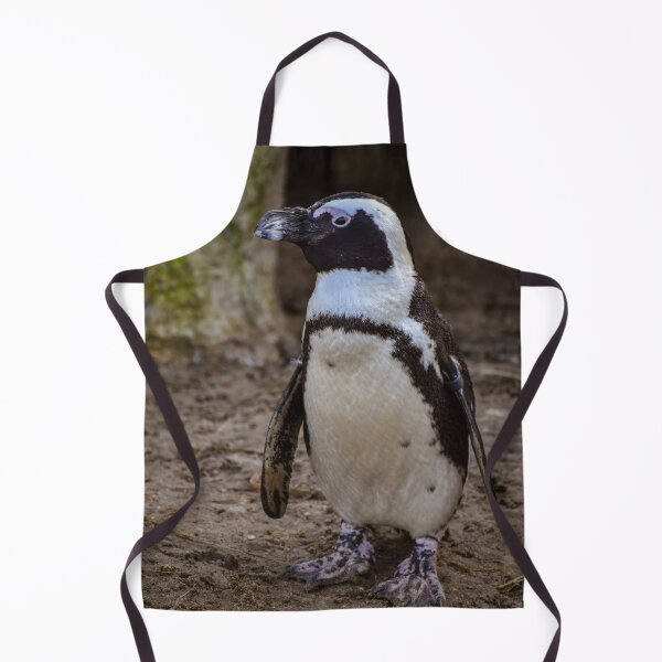 Item preview, Cute standing African penguin designed and sold by cdkphotos.