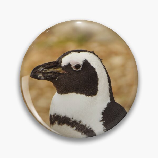Item preview, Cute standing penguin designed and sold by cdkphotos.