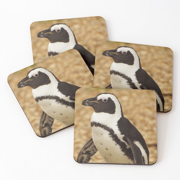 Item preview, Cute standing penguin designed and sold by cdkphotos.