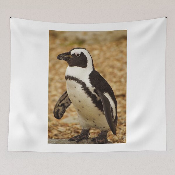 Item preview, Cute standing penguin designed and sold by cdkphotos.