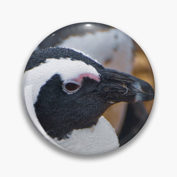 Item preview, Cute African penguin designed and sold by cdkphotos.