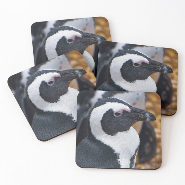Item preview, Cute African penguin designed and sold by cdkphotos.