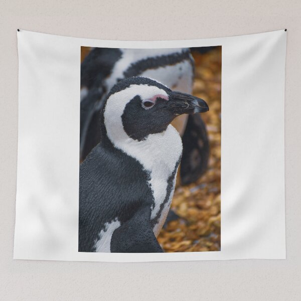 Item preview, Cute African penguin designed and sold by cdkphotos.
