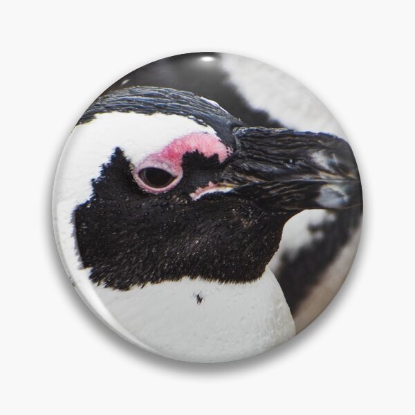 Item preview, Cute African penguin designed and sold by cdkphotos.