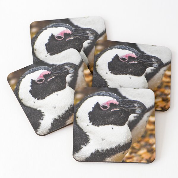 Item preview, Cute African penguin designed and sold by cdkphotos.