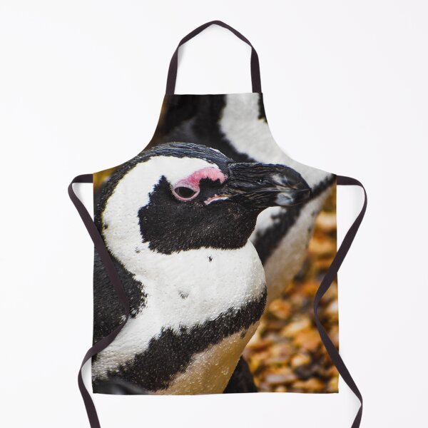 Item preview, Cute African penguin designed and sold by cdkphotos.