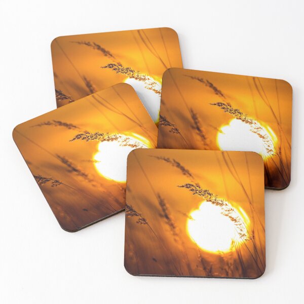 Item preview, Grass Landscape in the Wonderful Sunset Light designed and sold by digoarpi.