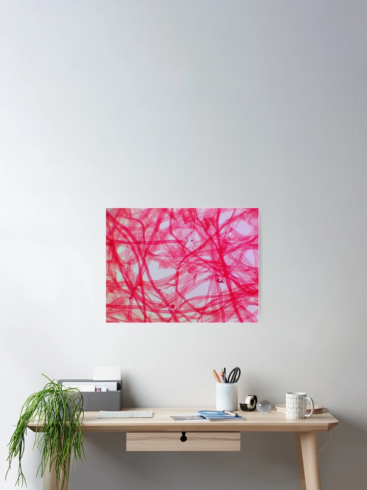 Thumbnail 2 of 3, Poster, Pink Fiber designed and sold by Ragulee.