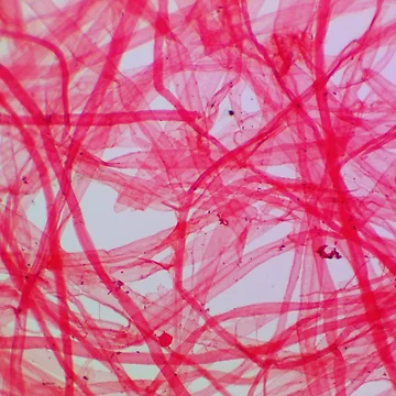 Artwork thumbnail, Pink Fiber by Ragulee