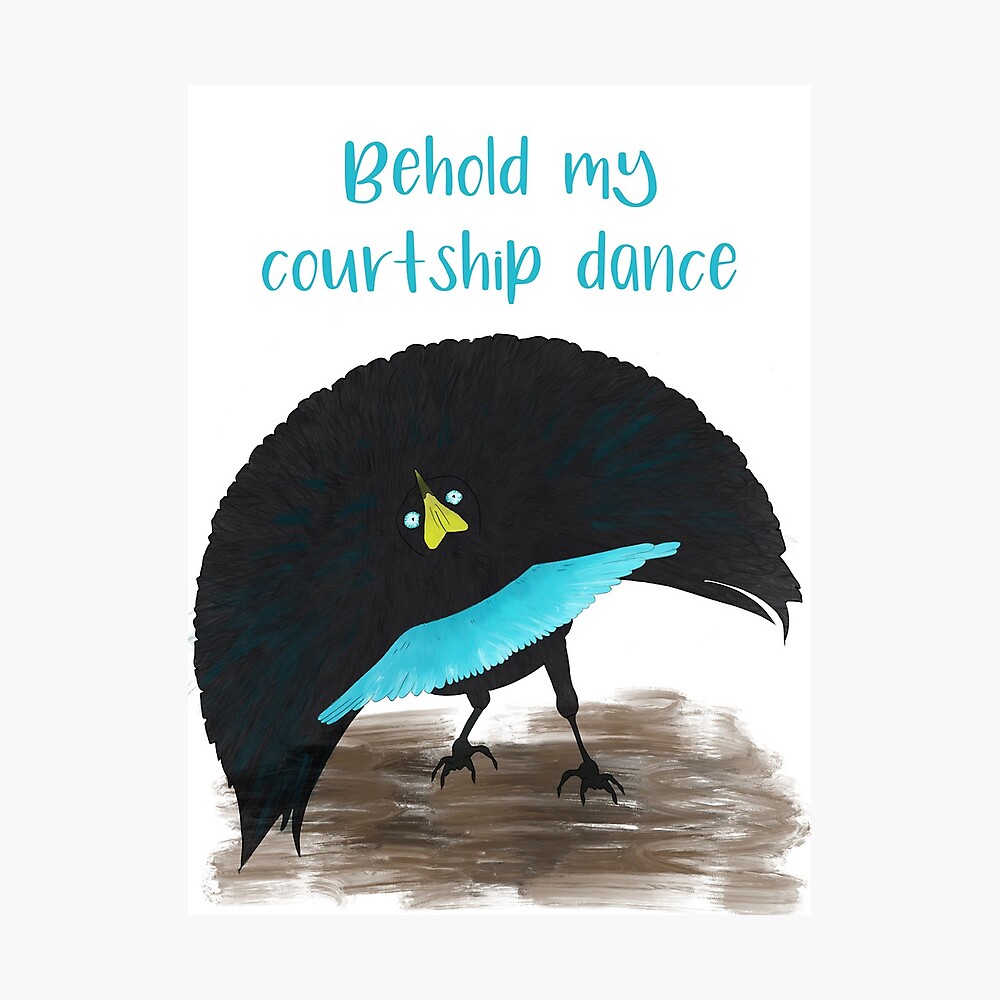 Valentines Bird of Paradise Blue Courtship Dance
