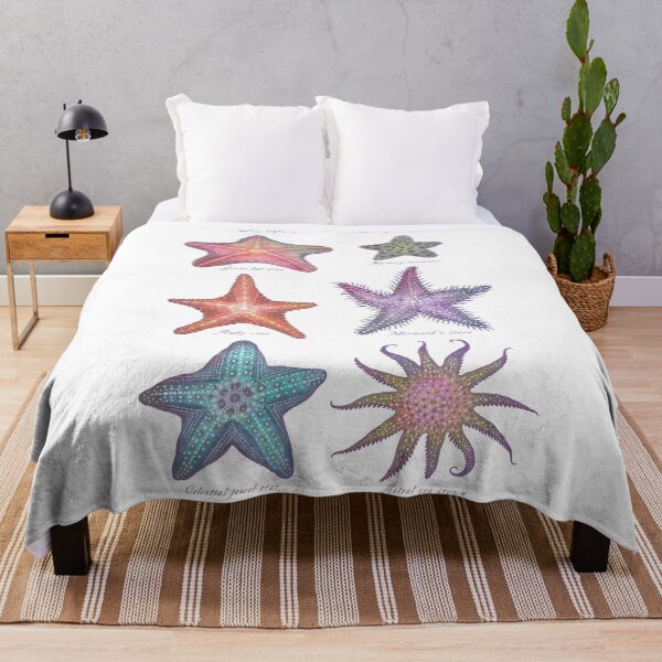 Item preview, Sea life specimens - Starfish designed and sold by Cabinet Of Curiosities by Vlad.