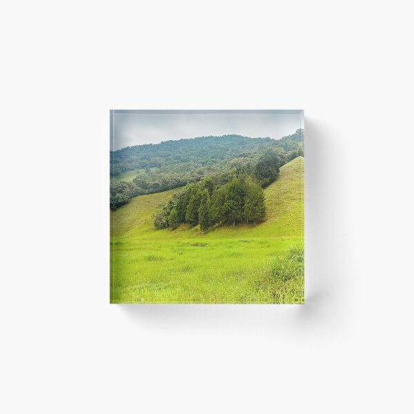 Item preview, Beautiful view of pine trees at the beginning of the mountain designed and sold by hateeyes.