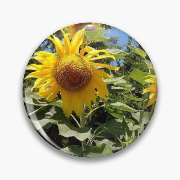 Item preview, Sun flowers  designed and sold by KyraMackenzie.