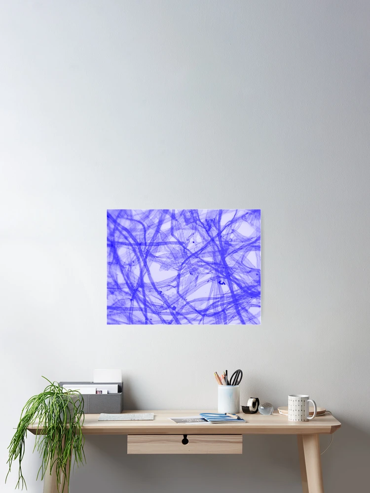 Thumbnail 2 of 3, Poster, Fiber Blue designed and sold by Ragulee.