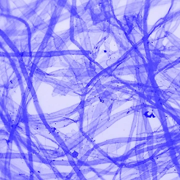 Artwork thumbnail, Fiber Blue by Ragulee
