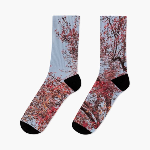 Item preview, Burgundy Tree In Autumn designed and sold by Nikola Paunovic.