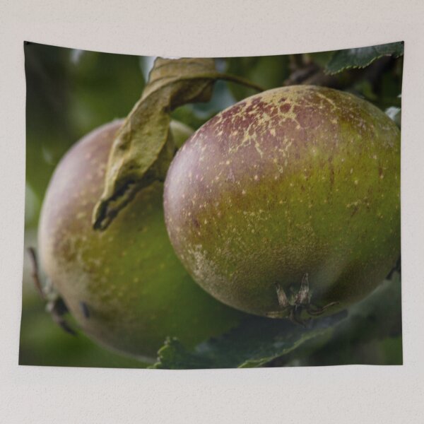 Item preview, Apple designed and sold by Allenart_UK.