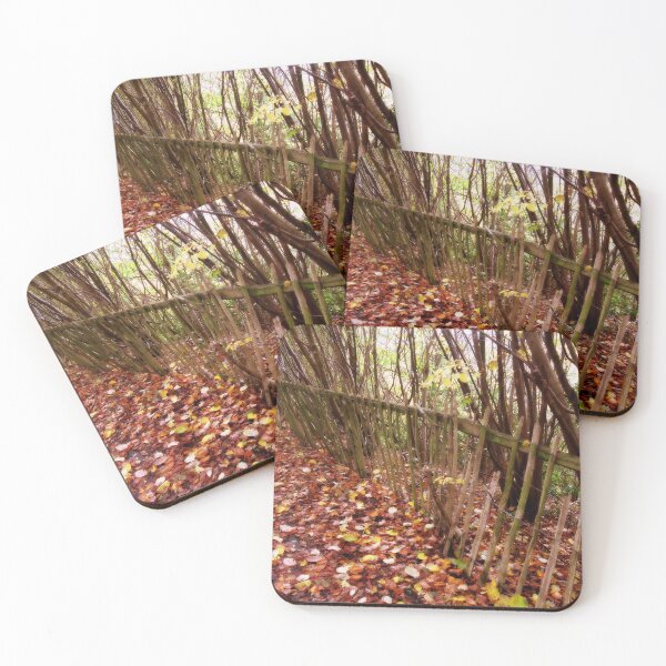 Item preview, A leafy lane and a broken wooden fence. designed and sold by ronsaunders47.