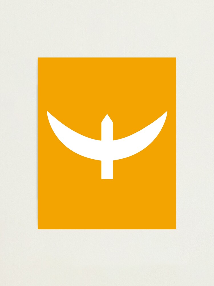 "Flag of Ottoman Beylik 12991375, Kurulus Osman, The new flag of Kayi