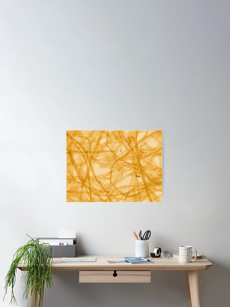 Thumbnail 2 of 3, Poster, Orange Fiber designed and sold by Ragulee.