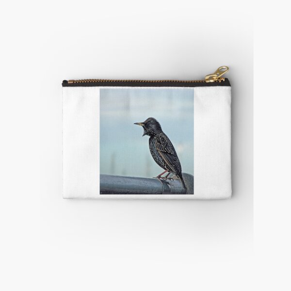 Item preview, Common Starling designed and sold by Sue Robinson.