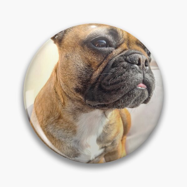 Item preview, Red the Frenchie  designed and sold by Becky Jackson.