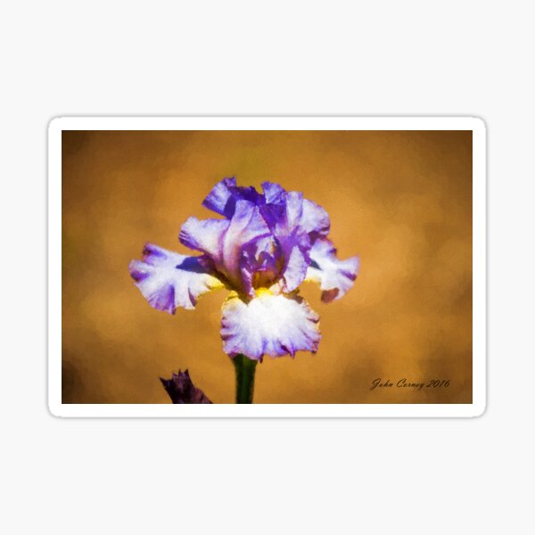 Purple Iris Sticker
