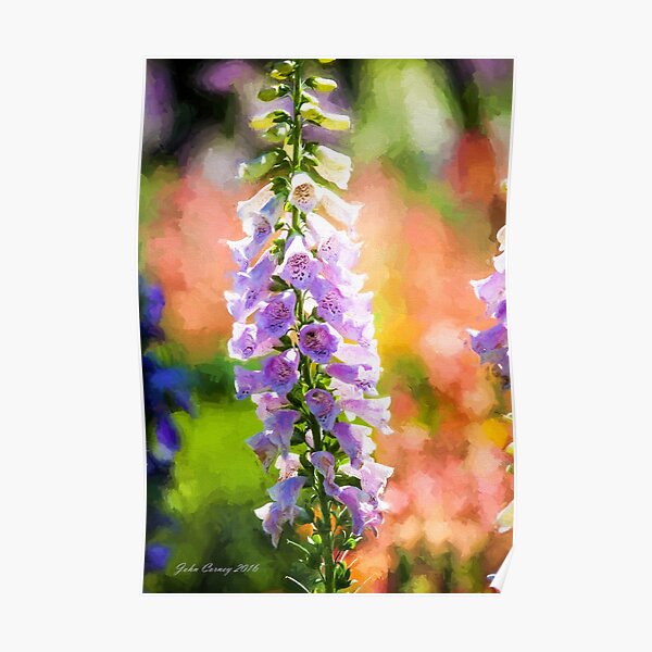 Purple Delphinium #1 Poster