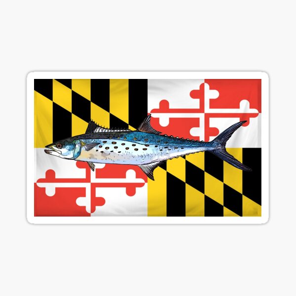 MARYLAND Fish Decals - Maryland Decals Stickers Magnets & Hats