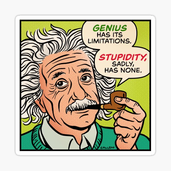 Einstein Stupidity Quote Sticker