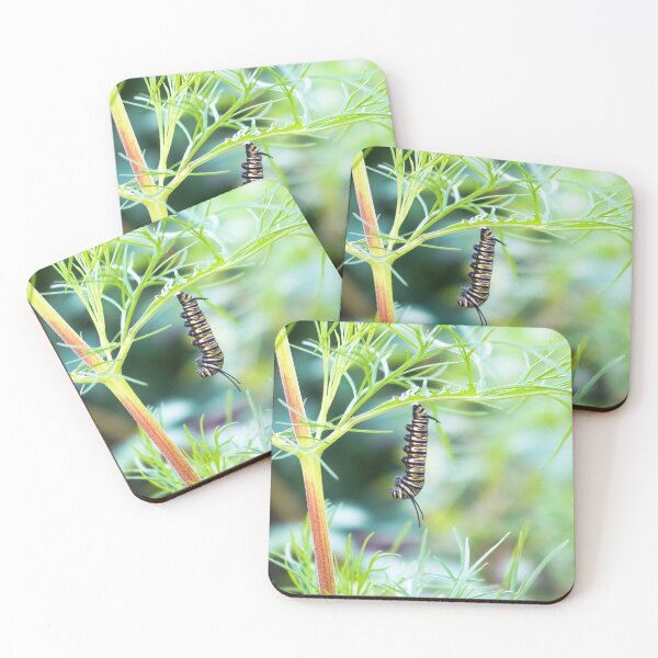 Item preview, Hanging Caterpillar  designed and sold by Ollivrosa.