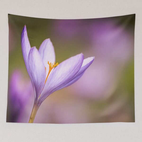 Item preview, Nice Dewy Flower in the Autumn designed and sold by digoarpi.