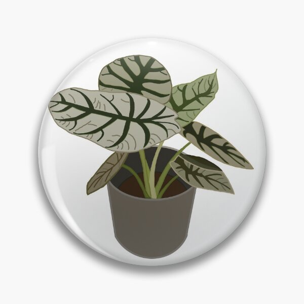 Item preview, Caladium (Caladium Bicolor) designed and sold by Andie Janik.