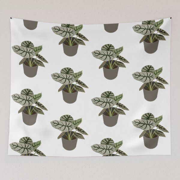 Item preview, Caladium (Caladium Bicolor) designed and sold by Andie Janik.