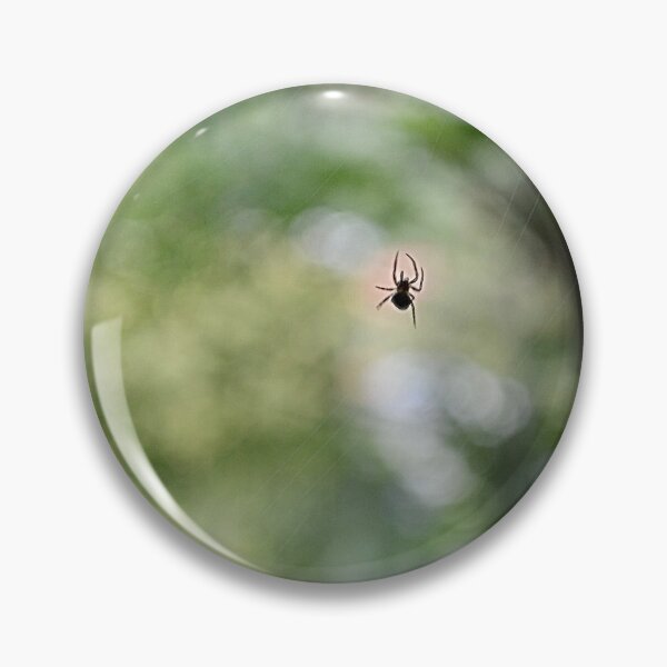 Artikelvorschau, Nette Spinne, die in der Luft-Fotografie hängt entworfen und verkauft von ItsMichaelaa.