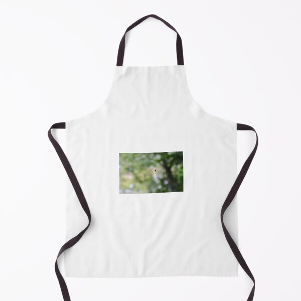 Item preview, Cute Spider Hanging In The Air Photography designed and sold by ItsMichaelaa.