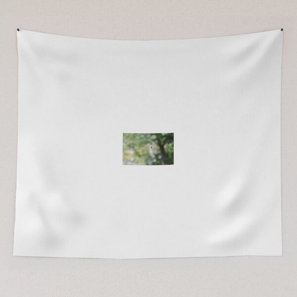 Item preview, Cute Spider Hanging In The Air Photography designed and sold by ItsMichaelaa.
