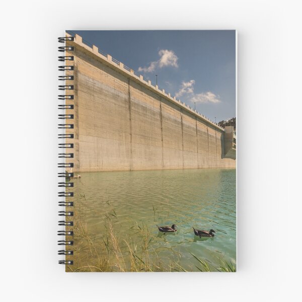 Item preview, Those dam ducks designed and sold by Ralph Goldsmith.
