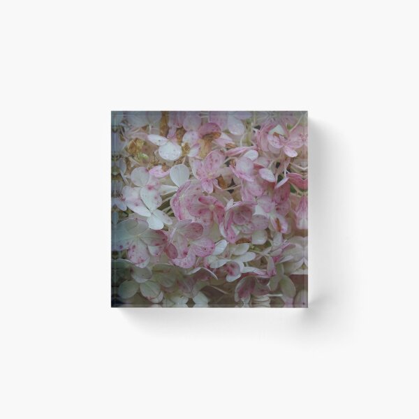 Aperçu de l'œuvre Fleurs blanches et roses créée et vendue par PicsByMi.