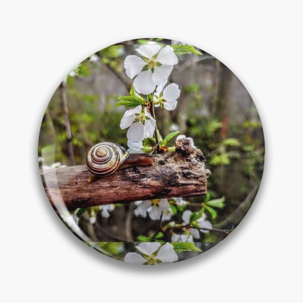 Item preview, The garden snail (Helix aspersa)  By Yannis Lobaina  designed and sold by Yannis Lobaina Art .